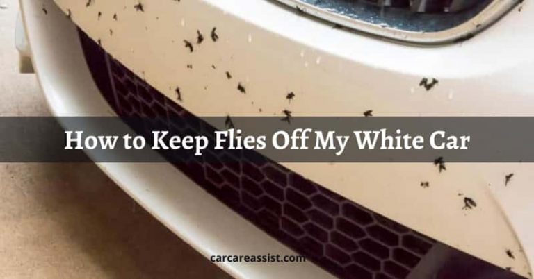 How to Keep Flies Off My White Car