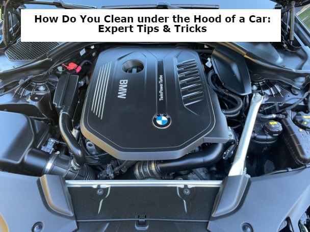 How Do You Clean under the Hood of a Car