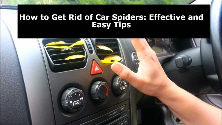 How to Get Rid of Car Spiders